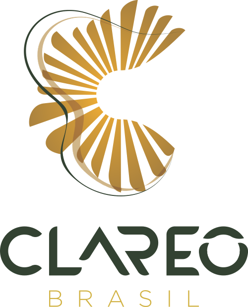 Clareô Brasil